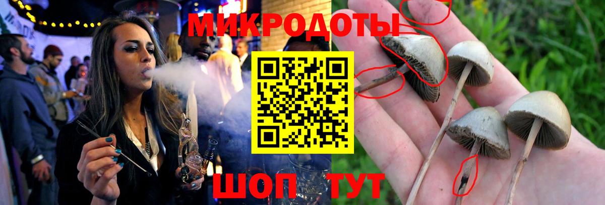 Псилоцибиновые грибы мухоморы  Вход с VPN  Лениногорск 