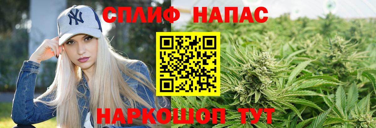 Бошки Шишки гибрид Лениногорск